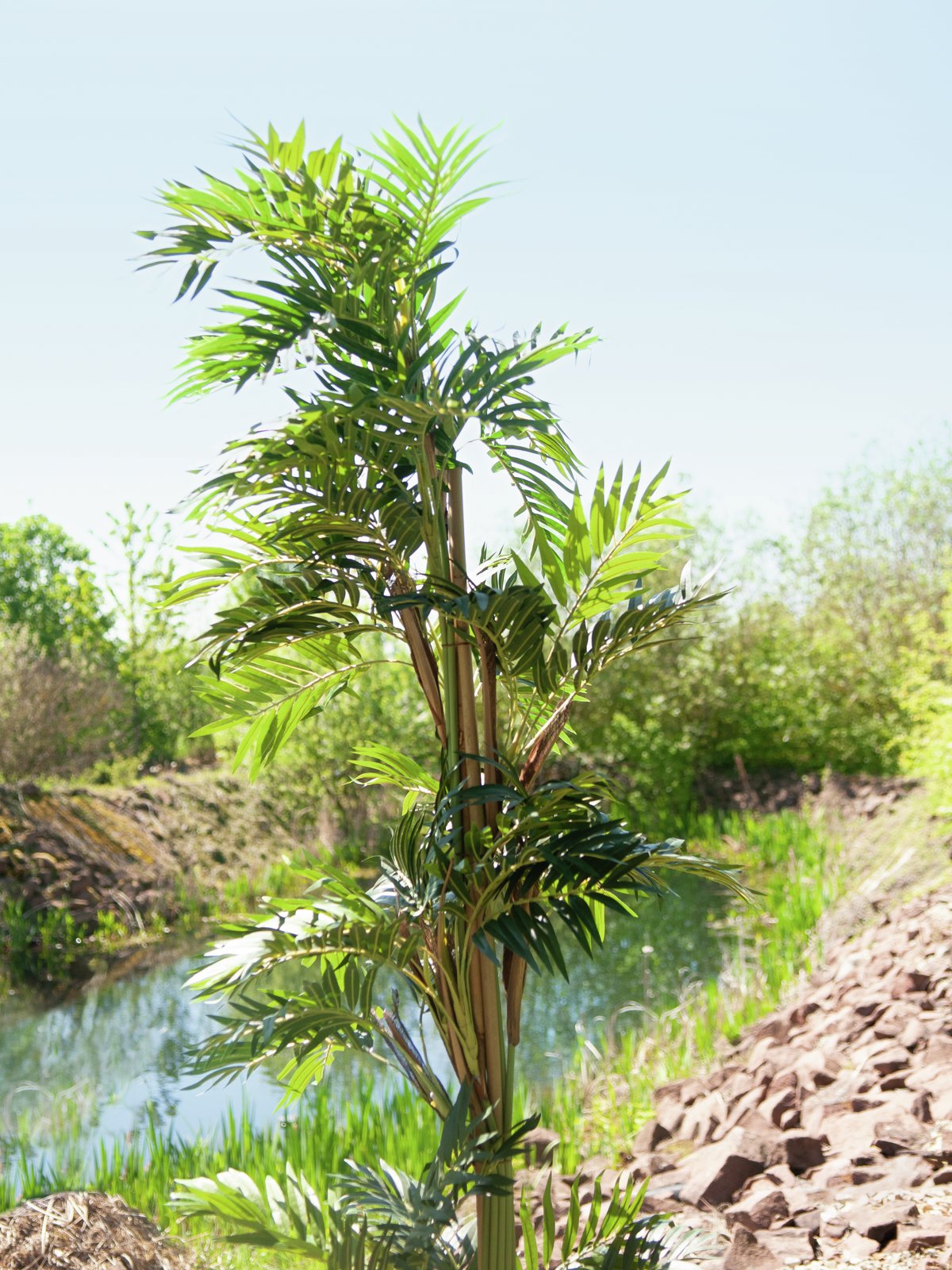 Parlor palm, artificial plant, 150cm