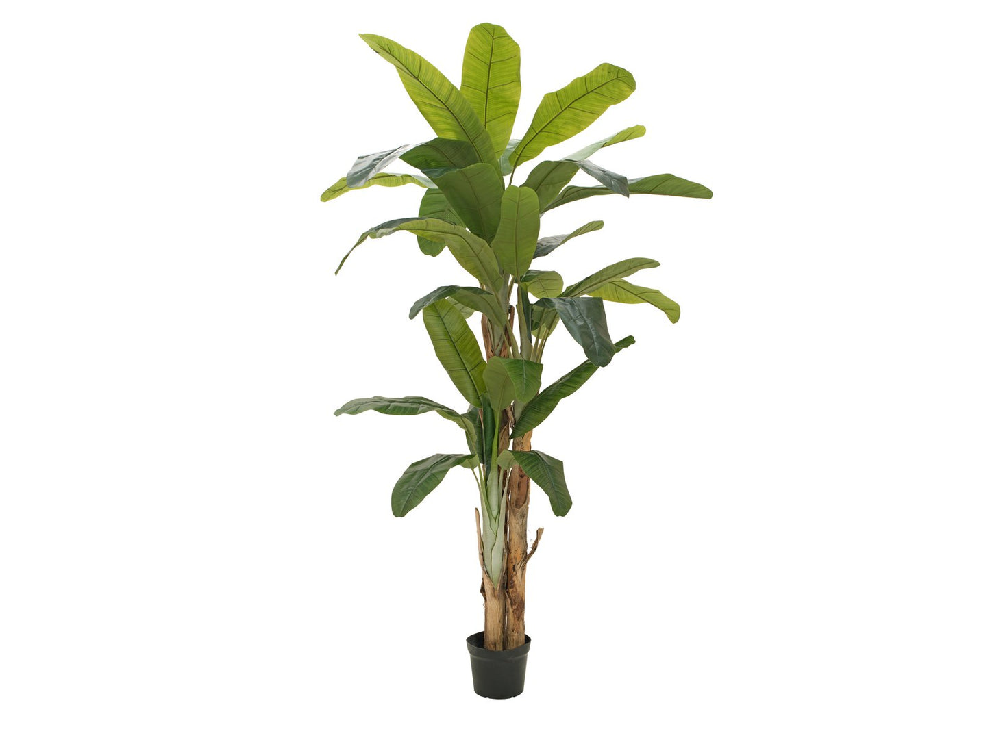 Banana tree, artificial plant, 240cm