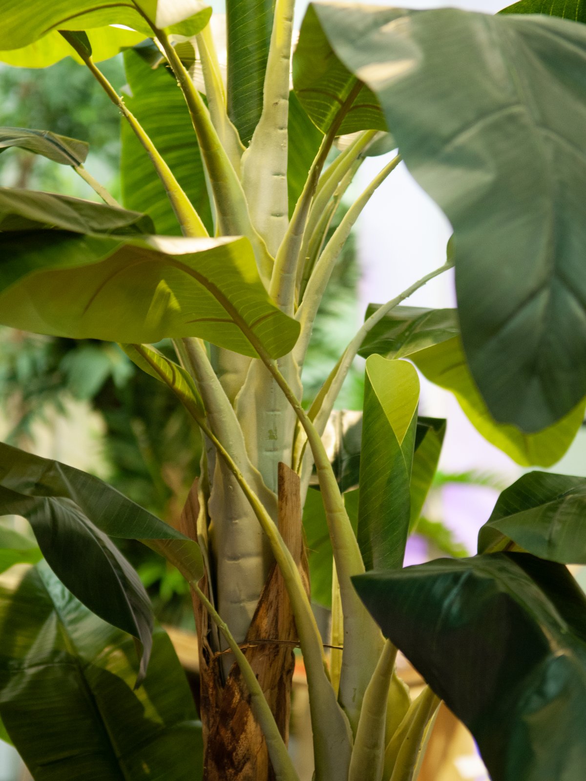 Banana tree, artificial plant, 240cm