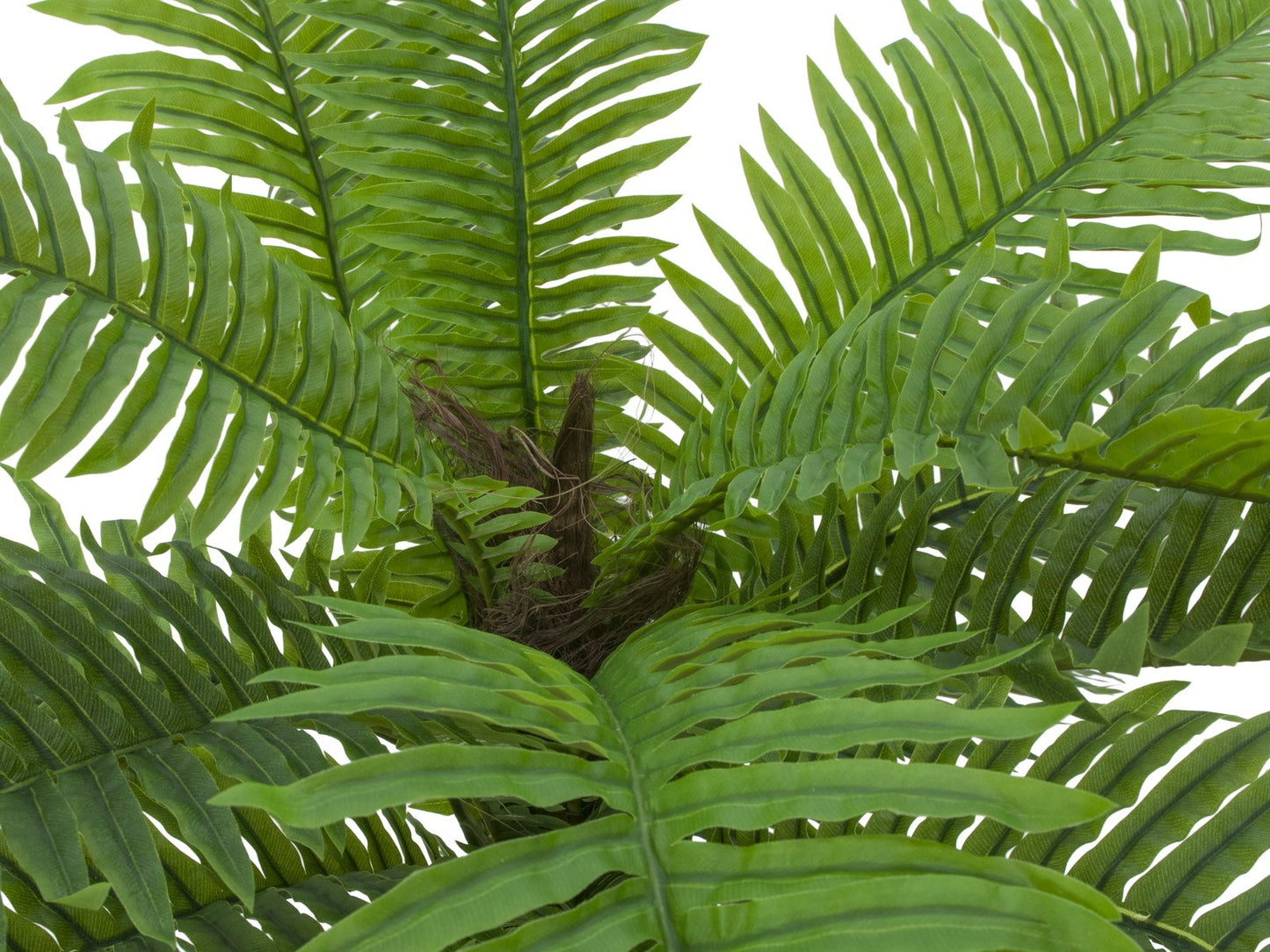 Cycas palm tree, artificial plant, 70cm