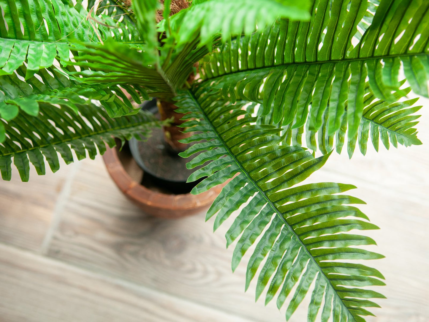 Cycas palm tree, artificial plant, 70cm