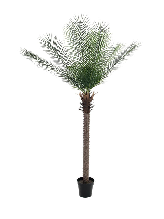 Phoenix palm deluxe, artificial plant, 220cm