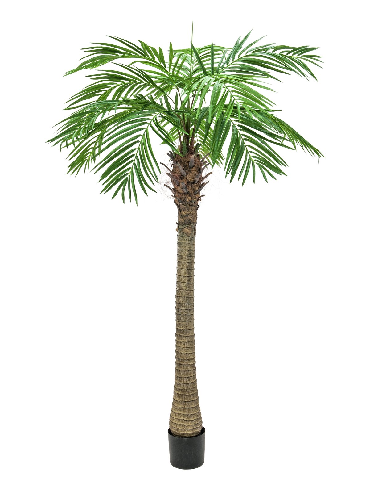 Phoenix palm tree luxor, artificial plant, 150cm