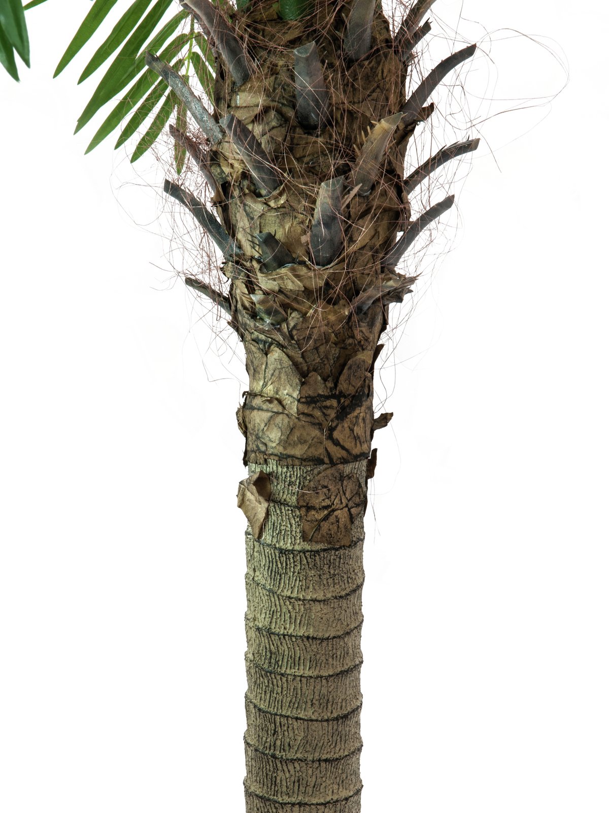 Phoenix palm tree luxor, artificial plant, 240cm