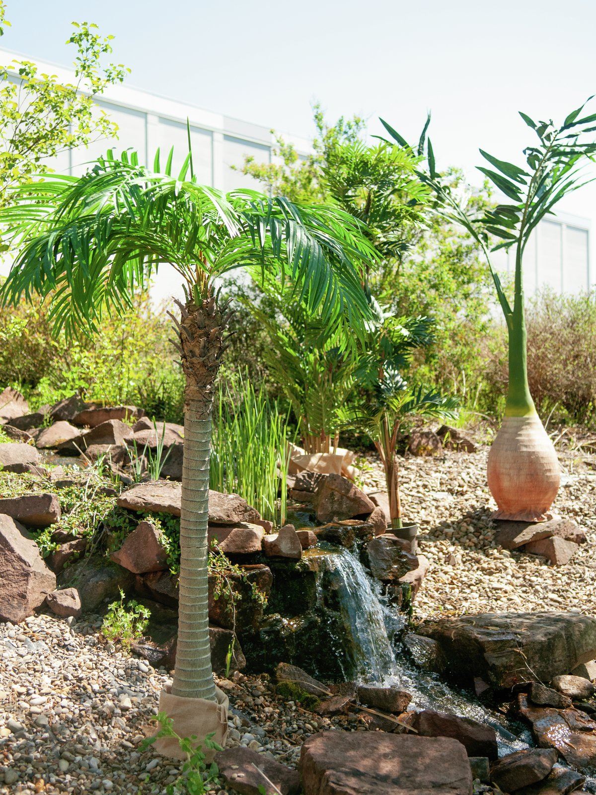 Phoenix palm tree luxor, artificial plant, 240cm