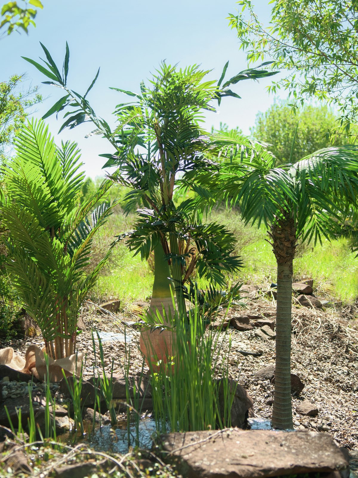 Phoenix palm tree luxor, artificial plant, 240cm