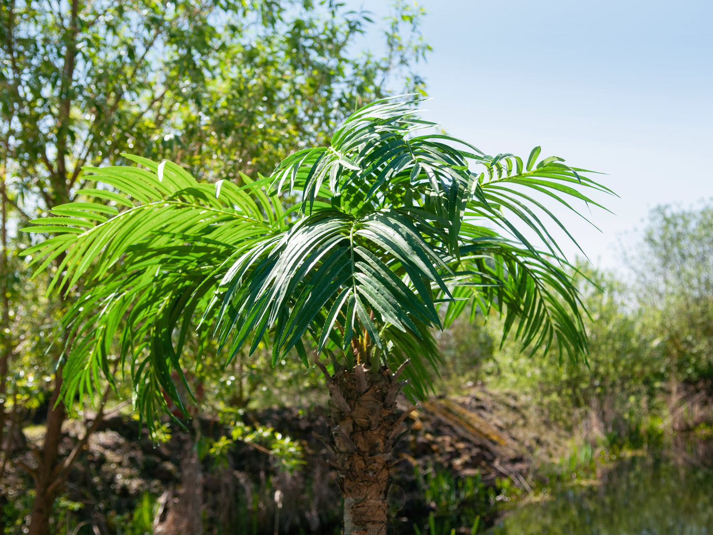 Phoenix palm tree luxor, artificial plant, 300cm