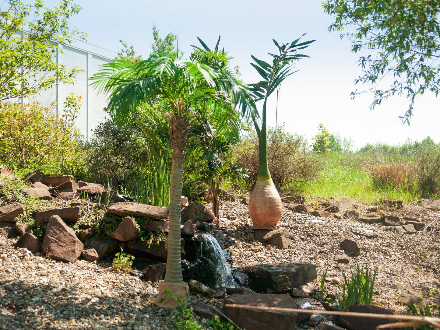 Phoenix palm tree luxor, artificial plant, 210cm