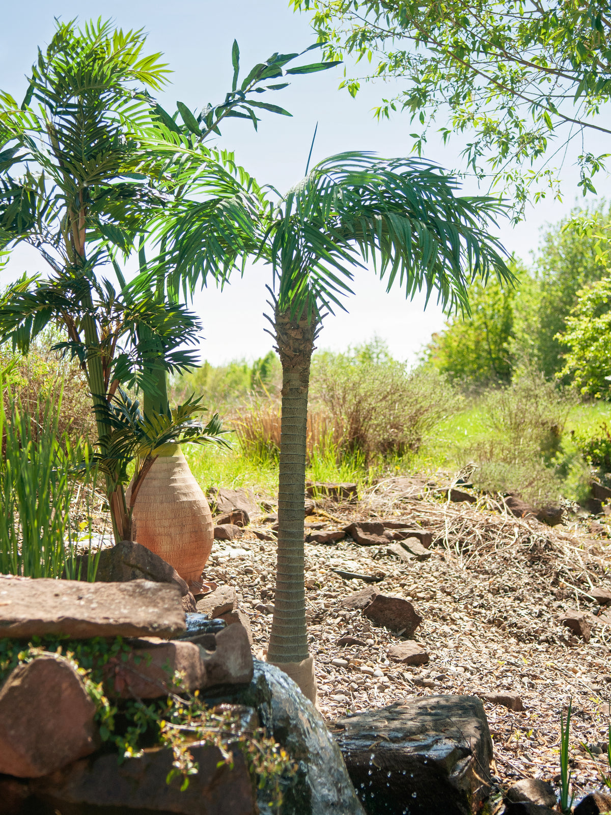 Phoenix palm tree luxor, artificial plant, 300cm