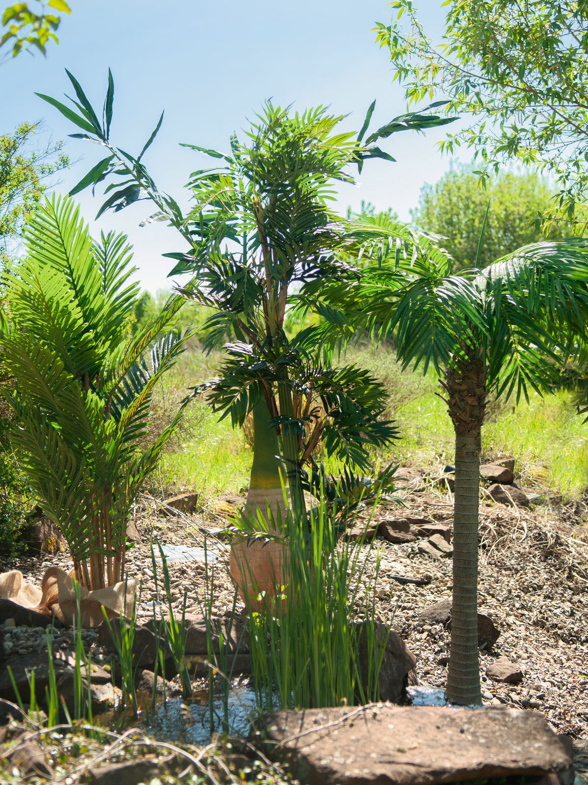 Phoenix palm tree luxor, artificial plant, 300cm