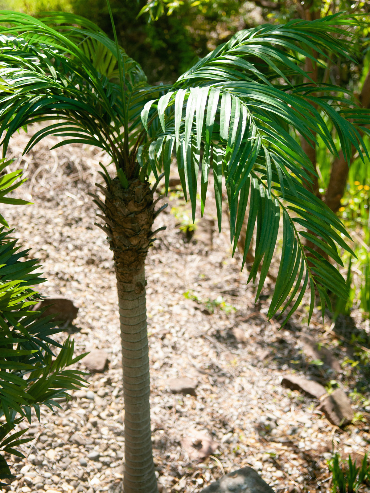 Phoenix palm tree luxor, artificial plant, 300cm