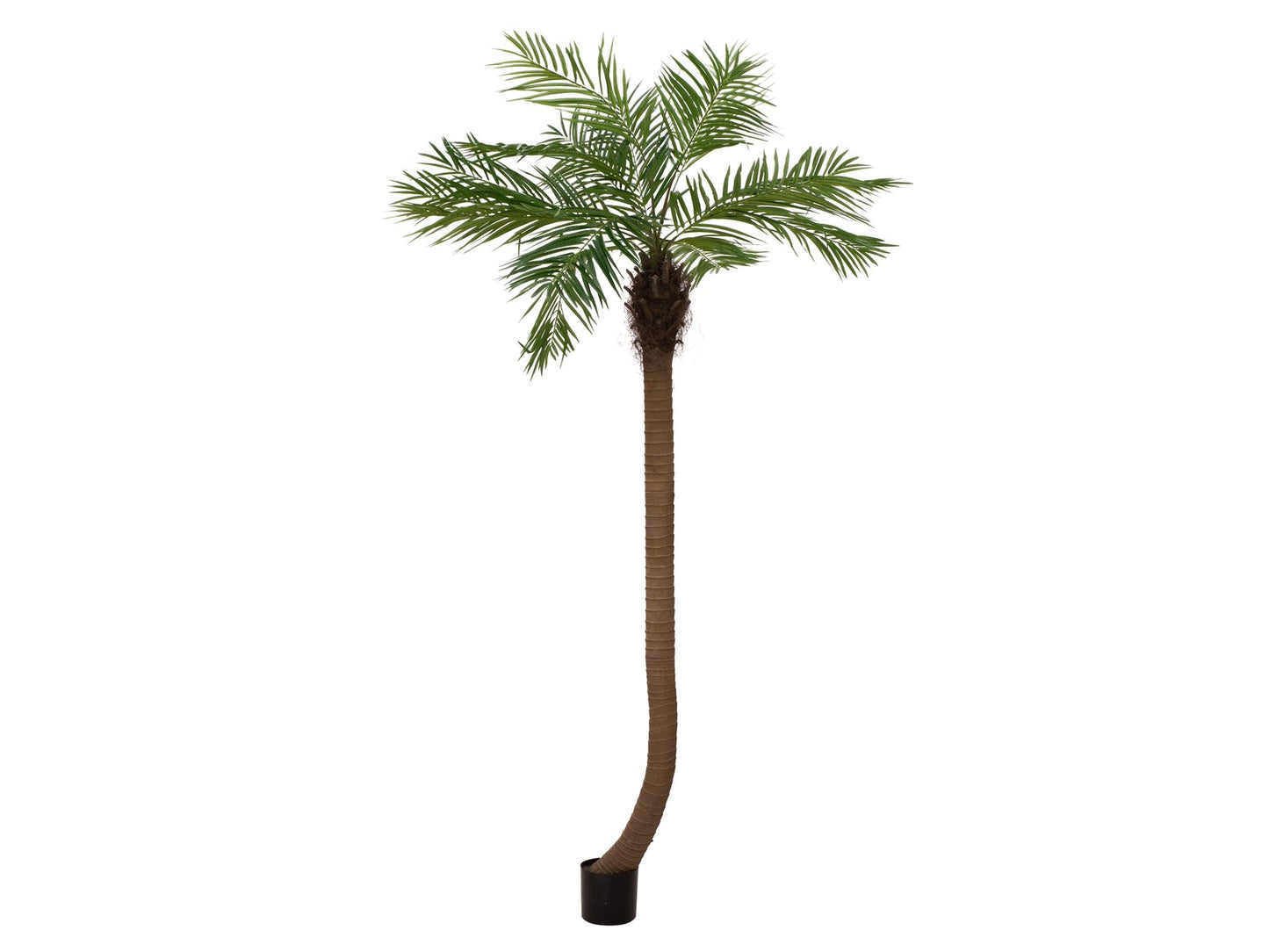 Phoenix palm tree luxor curved, artificial plant, 240cm