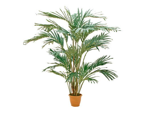 Date Palm, artificial plant, 240cm