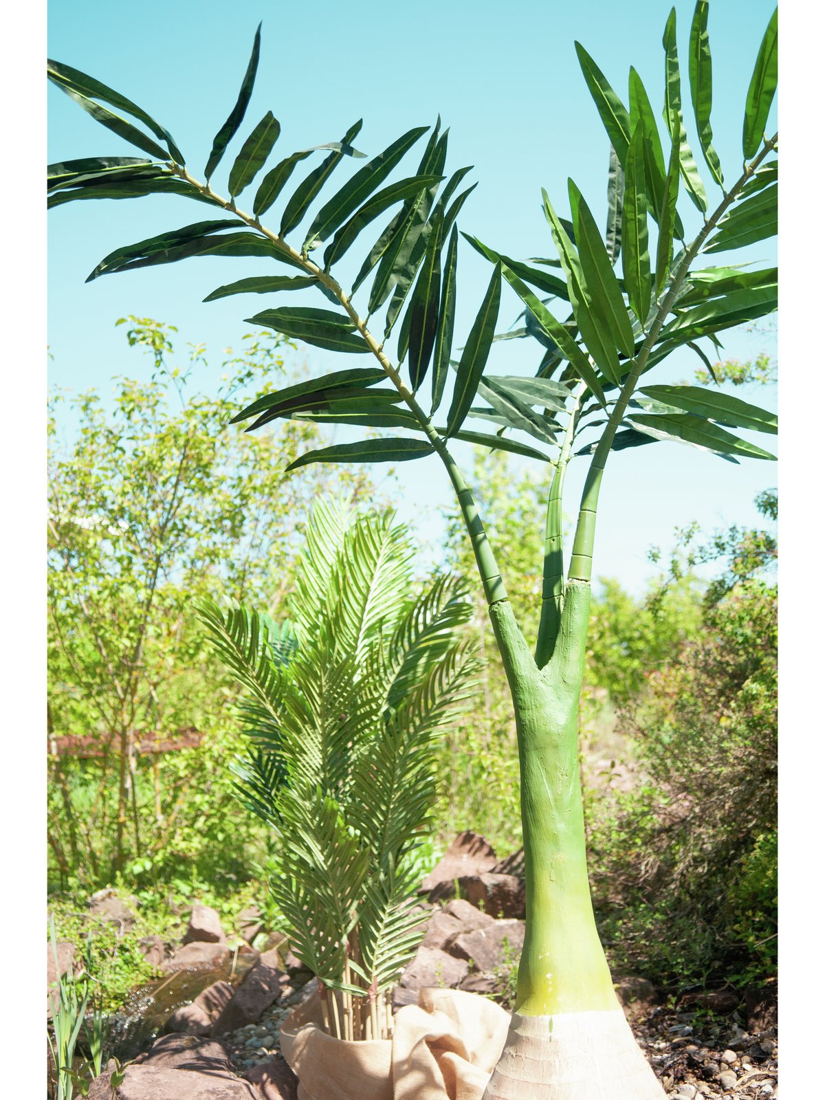 Phoenix palm, artificial plant, 240cm