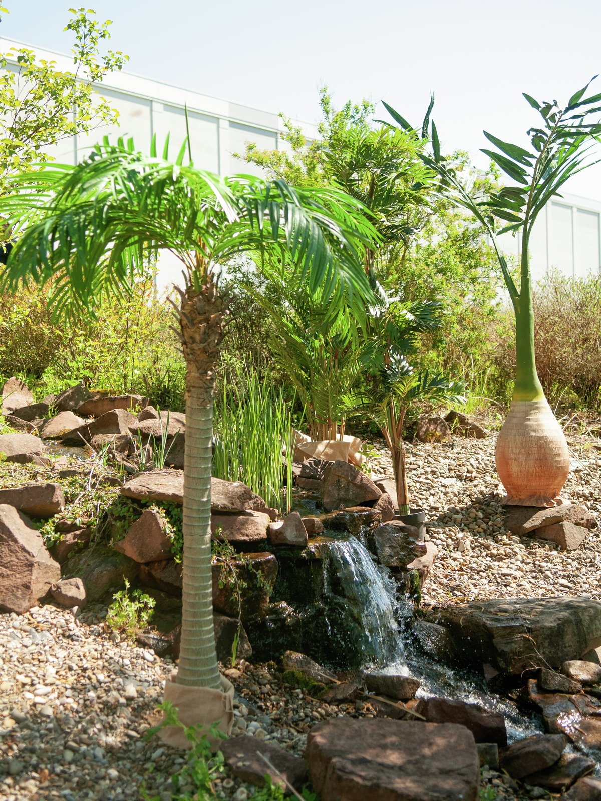 Phoenix palm, artificial plant, 240cm