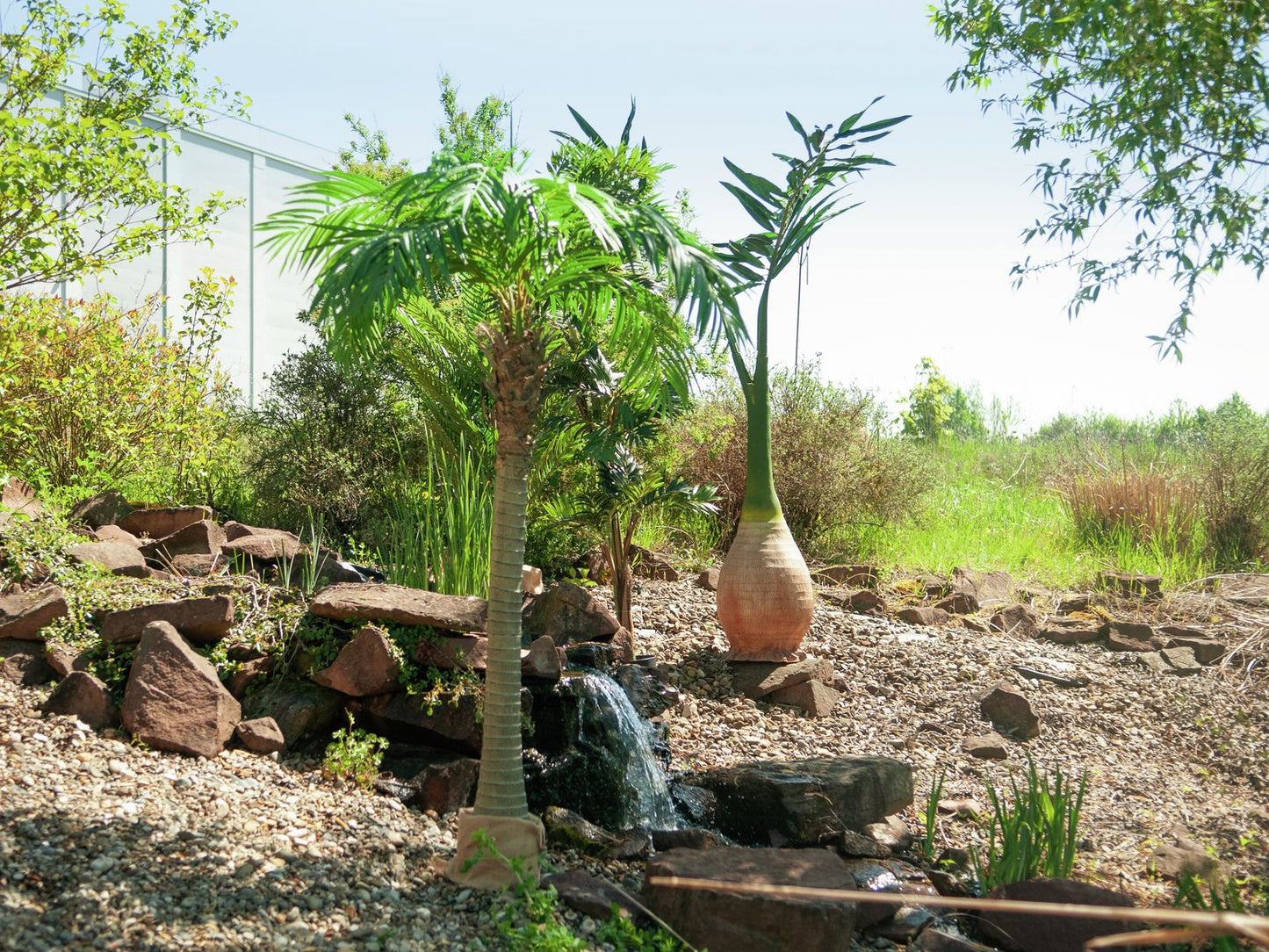 Phoenix palm, artificial plant, 240cm