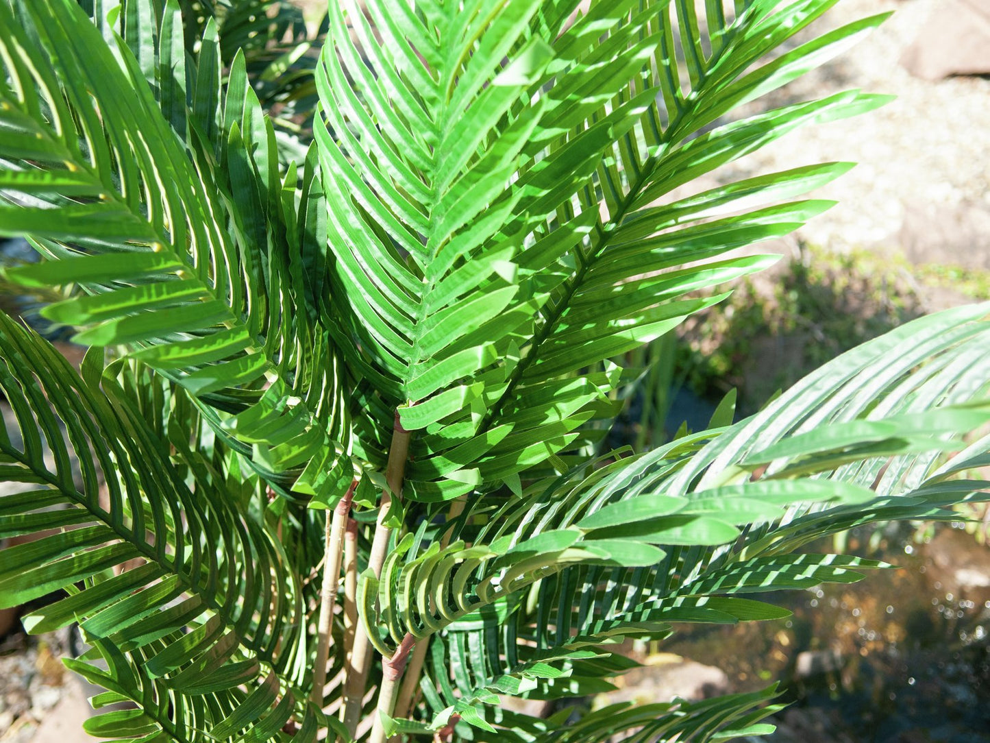 Paradise Palm Tree, artificial plant, 140cm