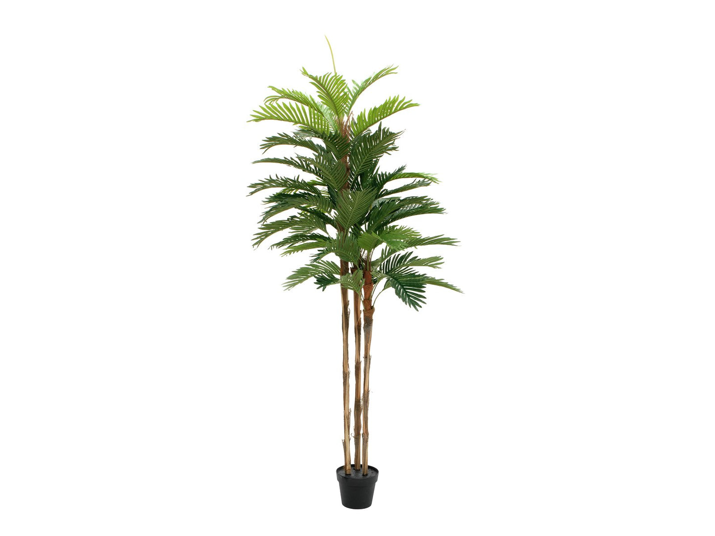 Paradise Palm tree, artificial plant, 180cm