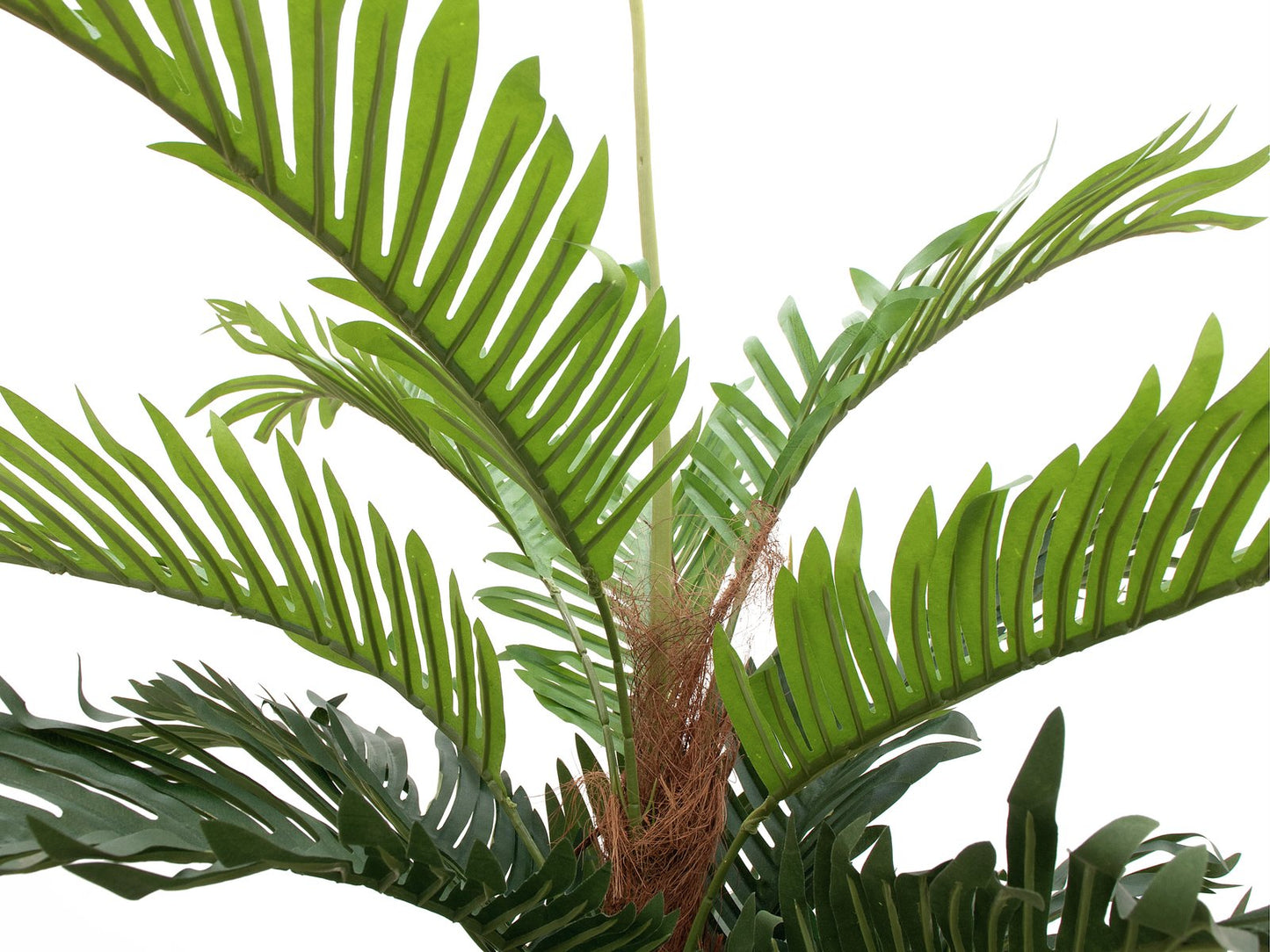 Paradise Palm tree, artificial plant, 180cm