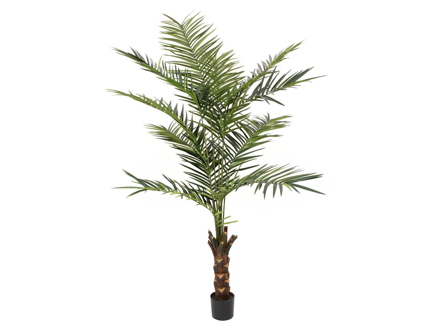 Paradise Palm Tree, artificial plant, 240cm