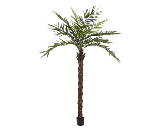 Paradise Palm tree deluxe, artificial plant, 300cm