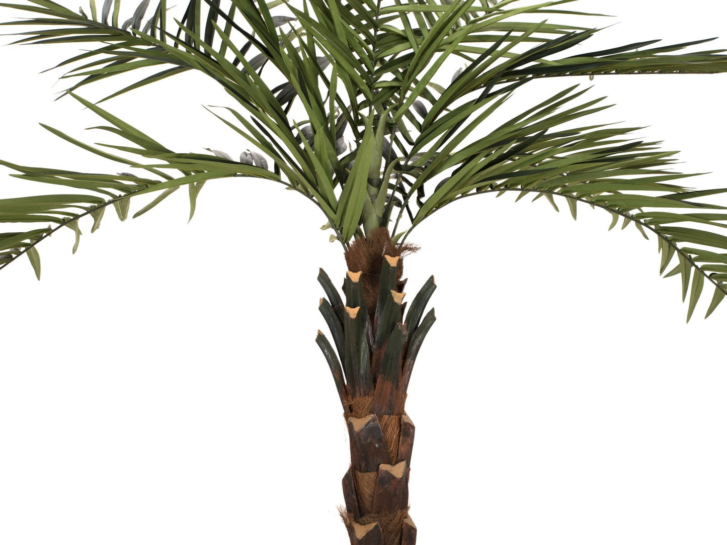 Paradise Palm tree deluxe, artificial plant, 300cm