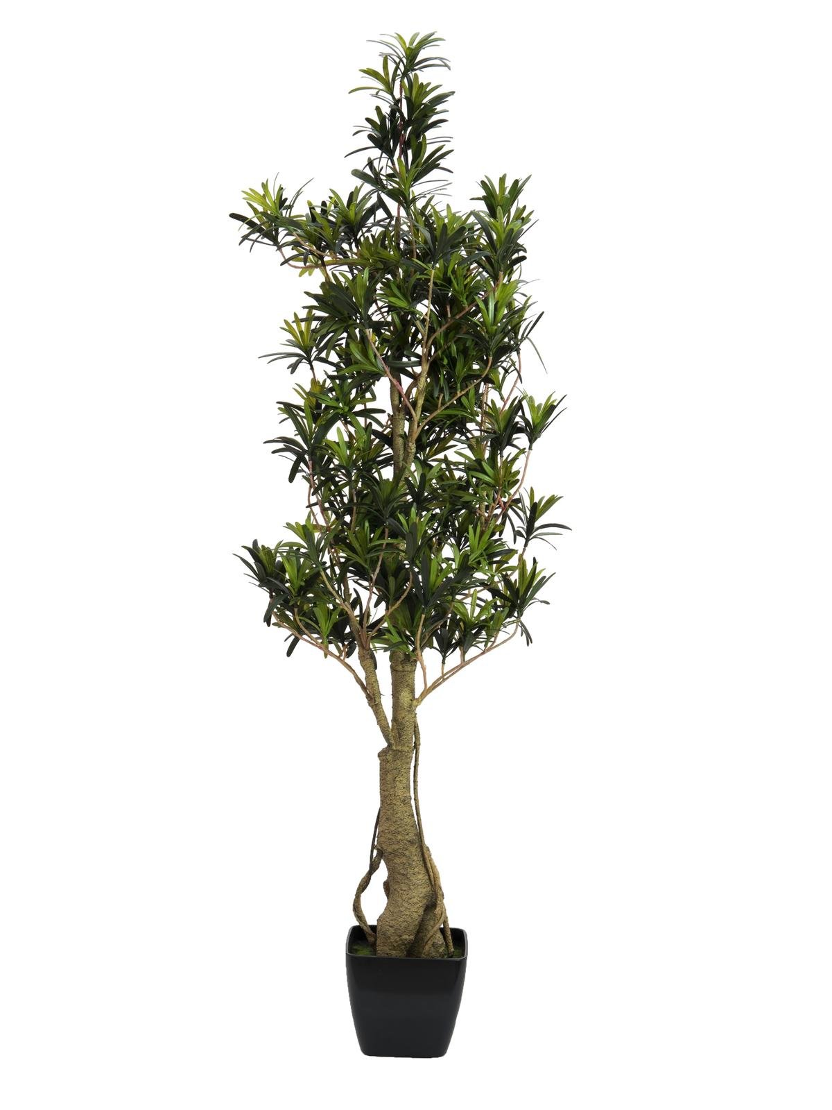 Buddhist Pine, artificial plant, 115cm – Epic Plants