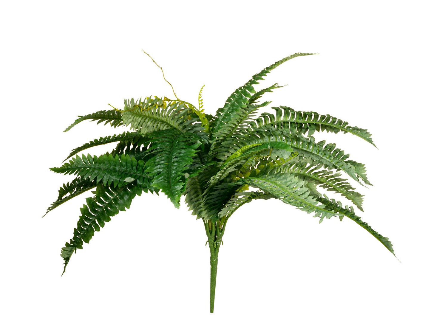 Boston Fern, artificial plant,53cm