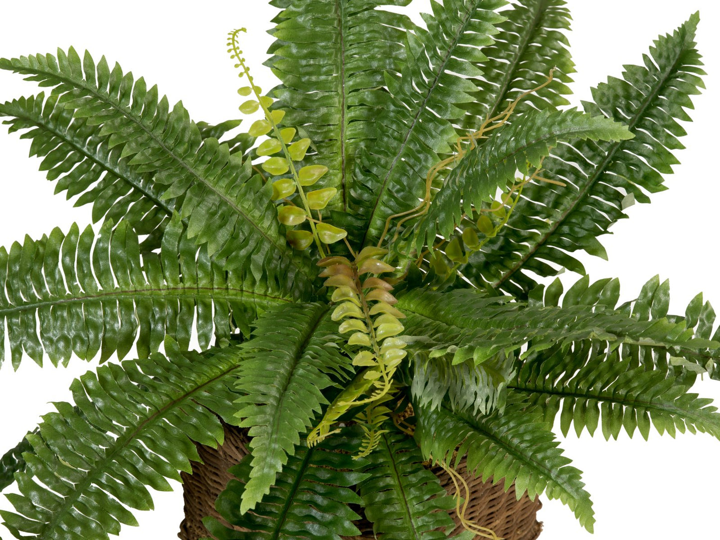 Boston Fern, artificial plant,53cm