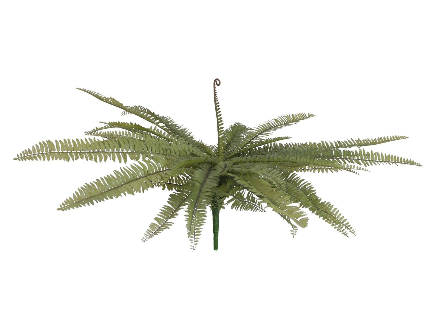 Boston fern, artificial plant, green, 70cm