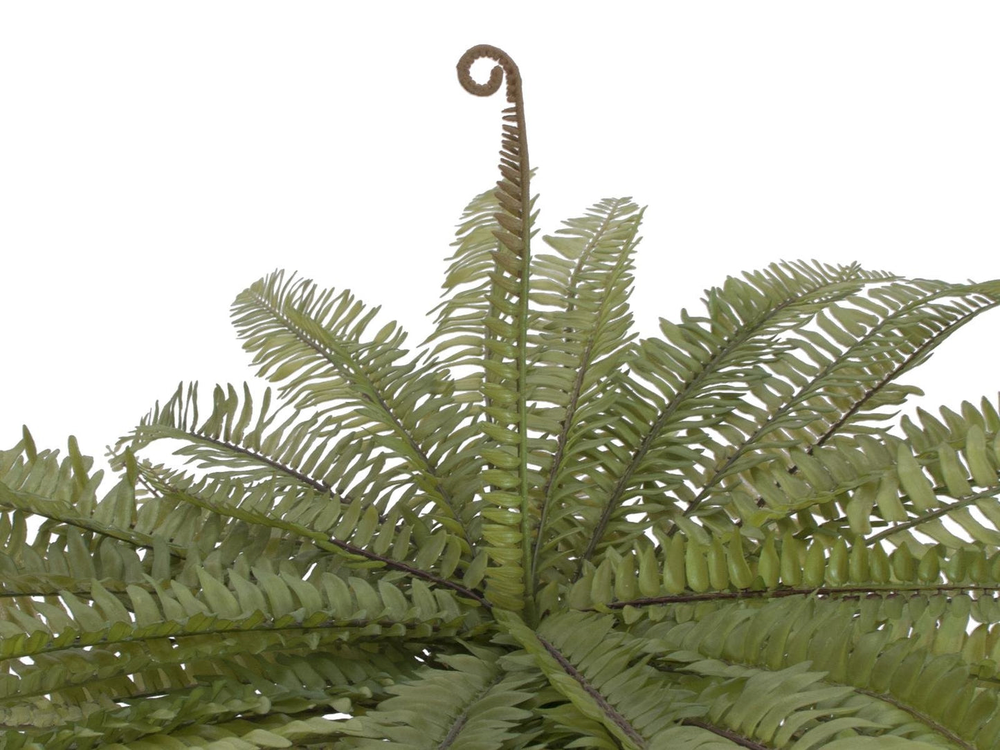 Boston fern, artificial plant, green, 70cm