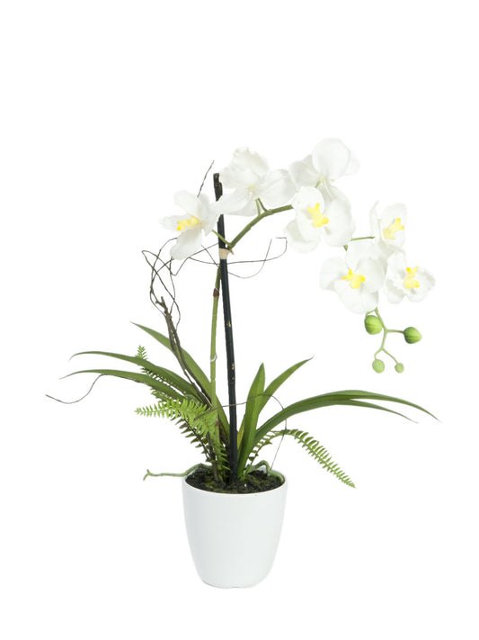 Orchid in pot 62cm, artificial