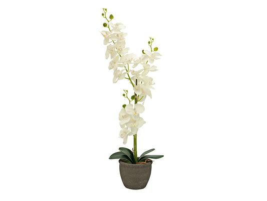 Orchid, artificial plant, cream, 80cm