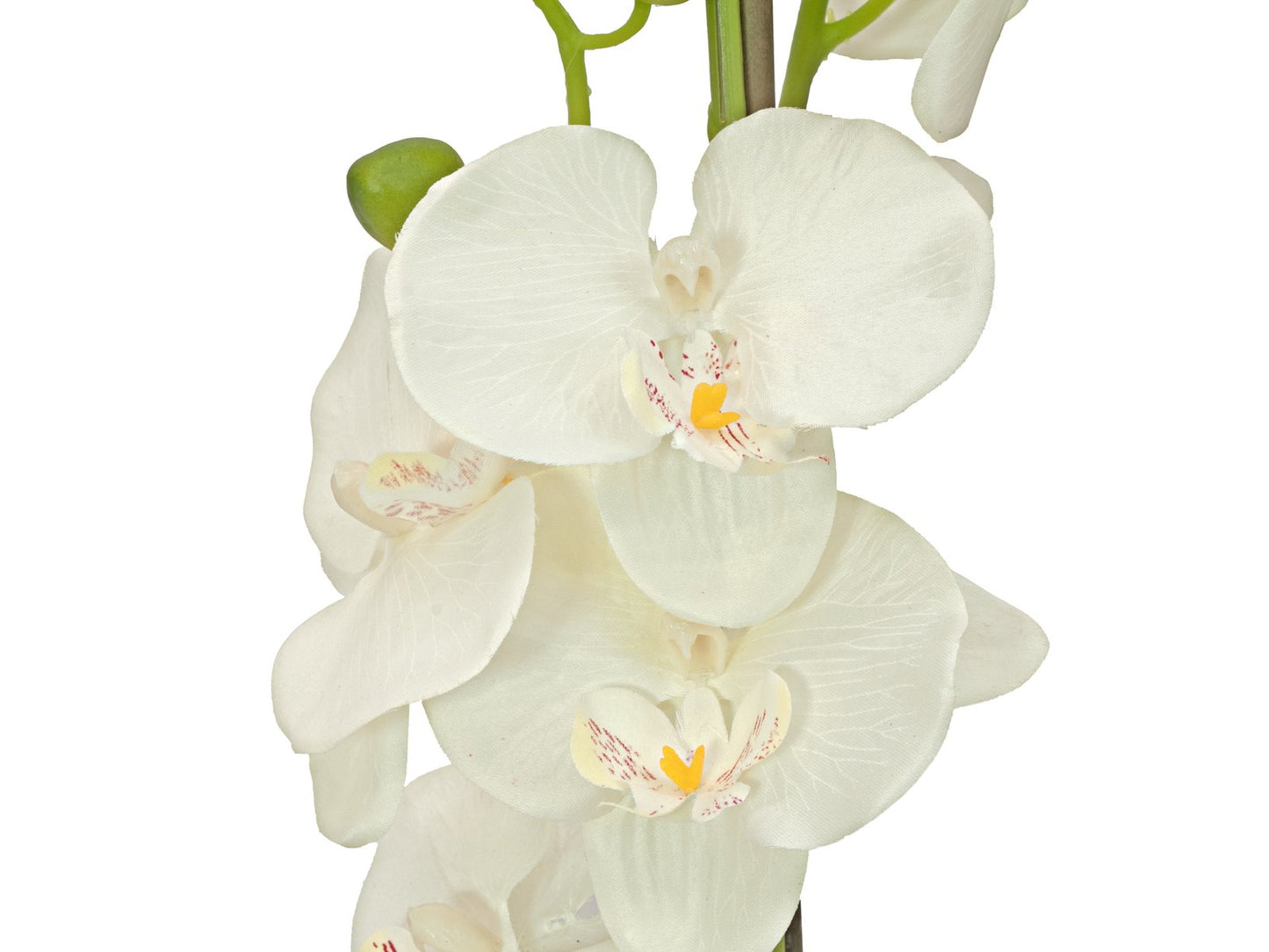 Orchid, artificial plant, cream, 80cm