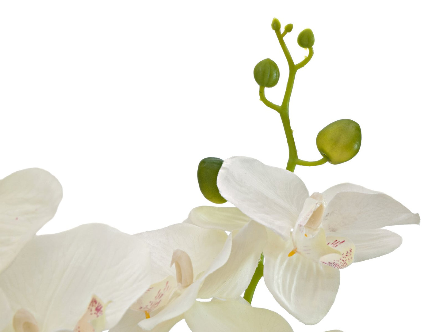 Orchid, artificial plant, cream, 80cm