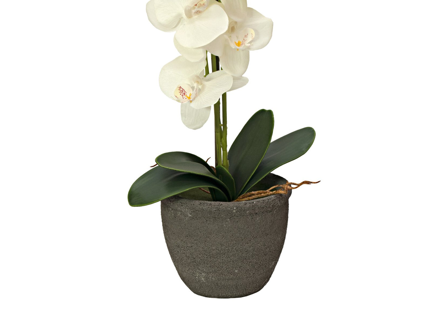 Orchid, artificial plant, cream, 80cm