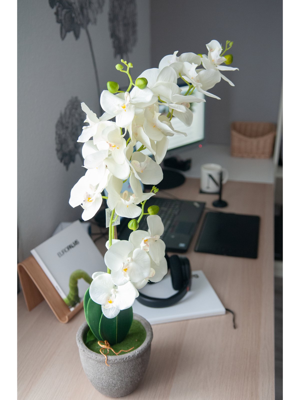 Orchid, artificial plant, cream, 80cm