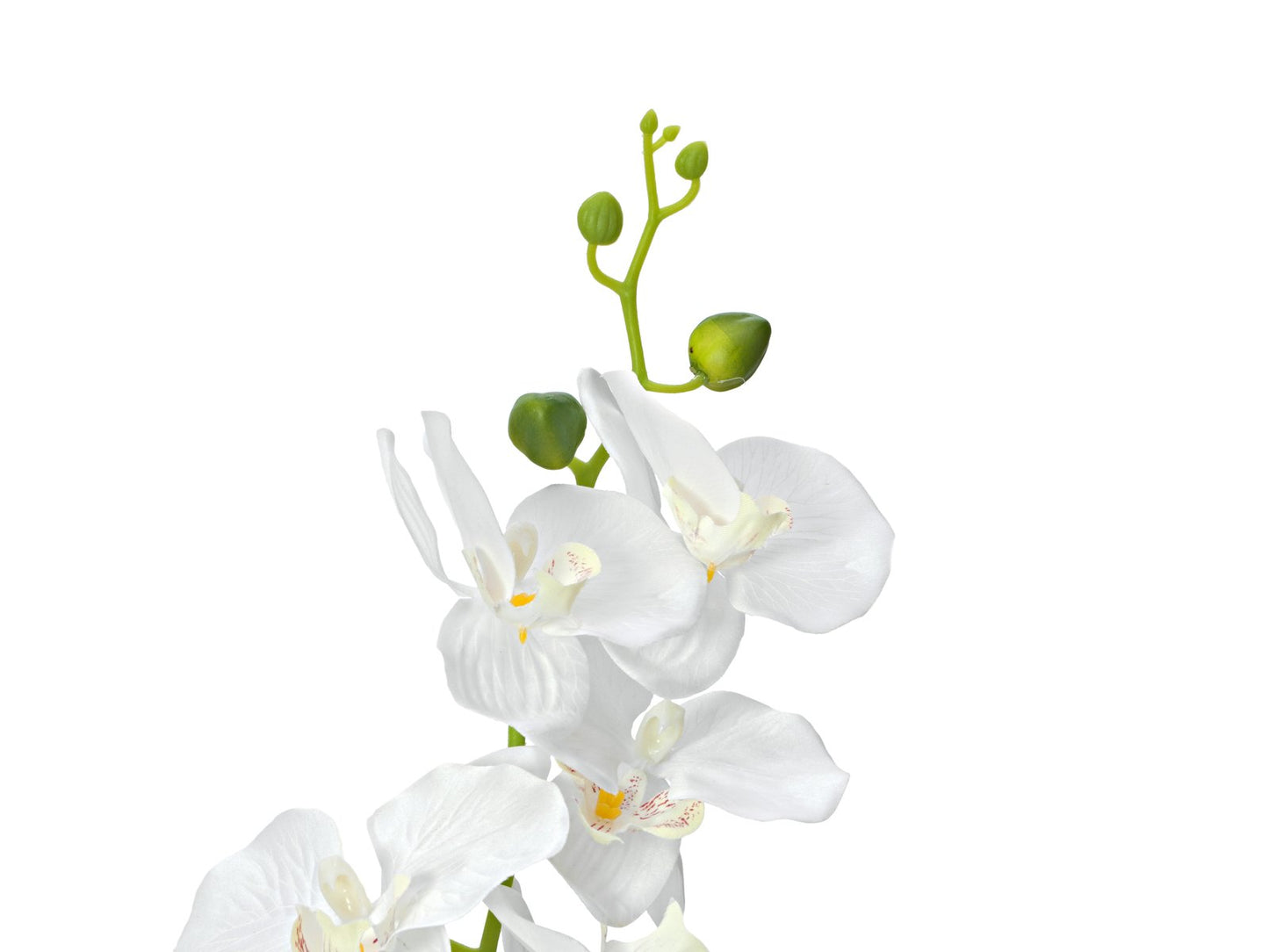 Orchid, artificial plant, white, 80cm