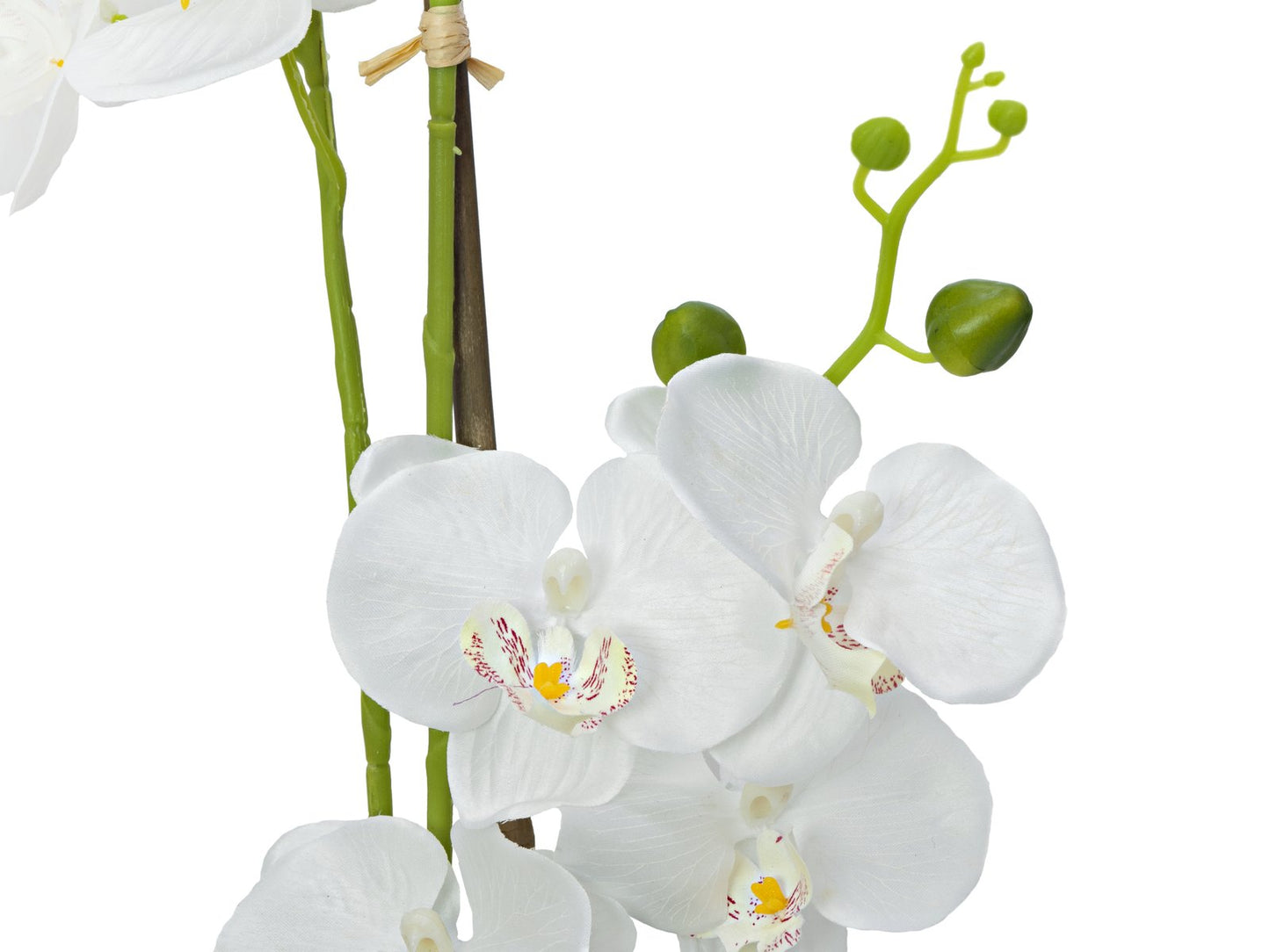 Orchid, artificial plant, white, 80cm