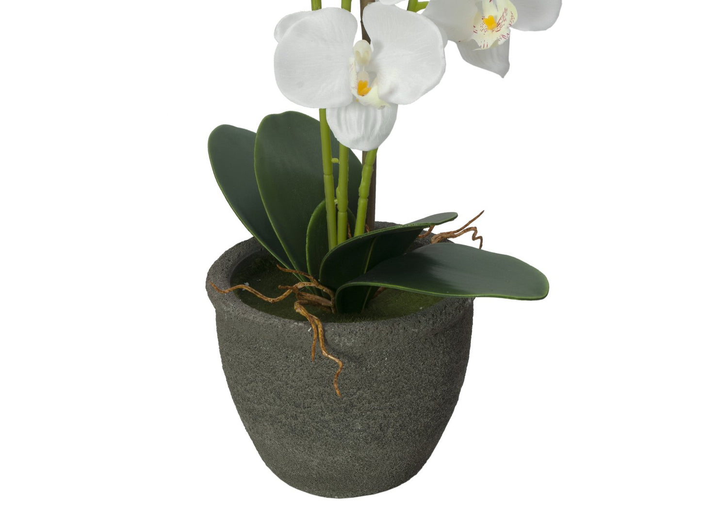 Orchid, artificial plant, white, 80cm