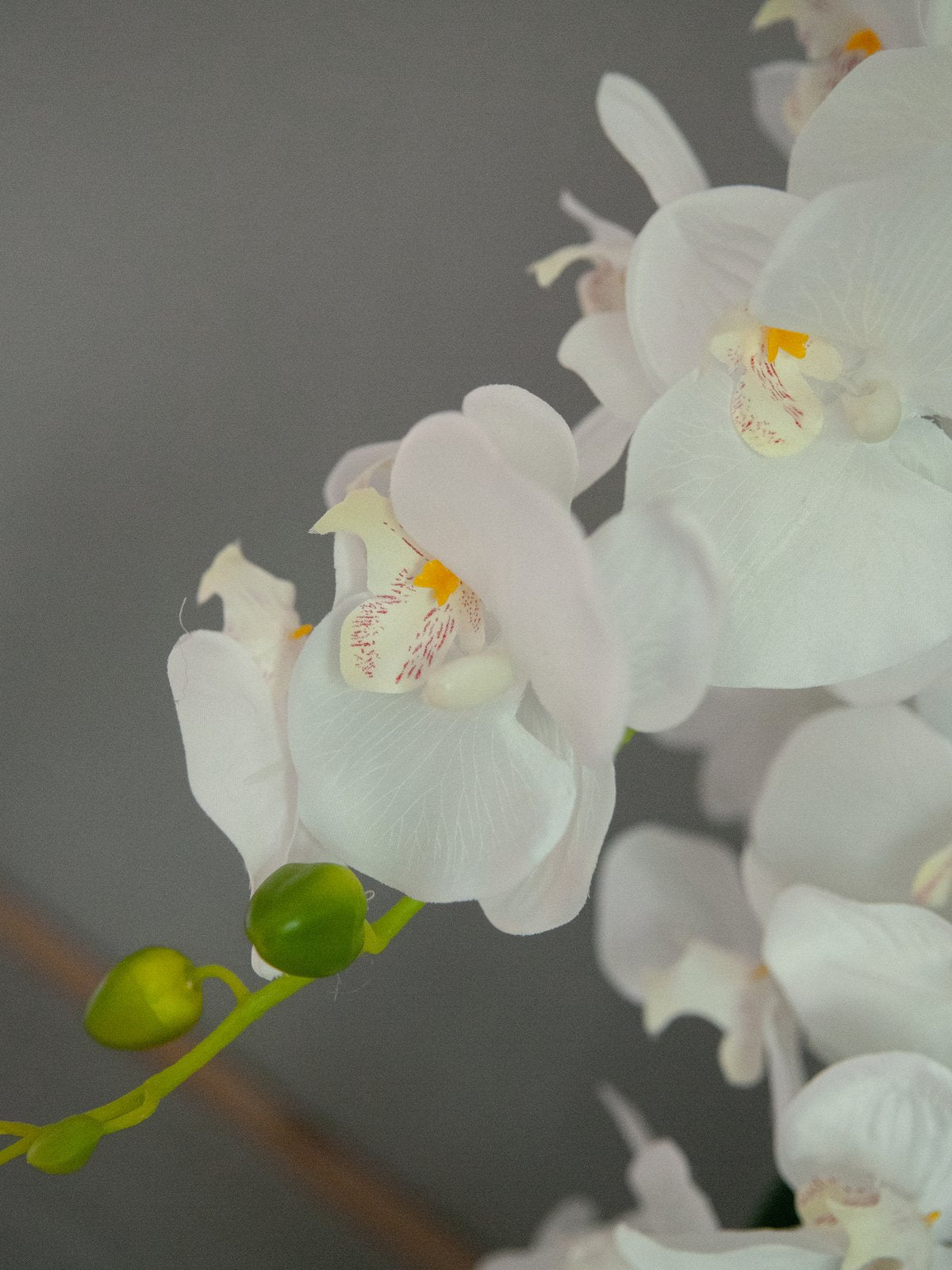 Orchid, artificial plant, white, 80cm