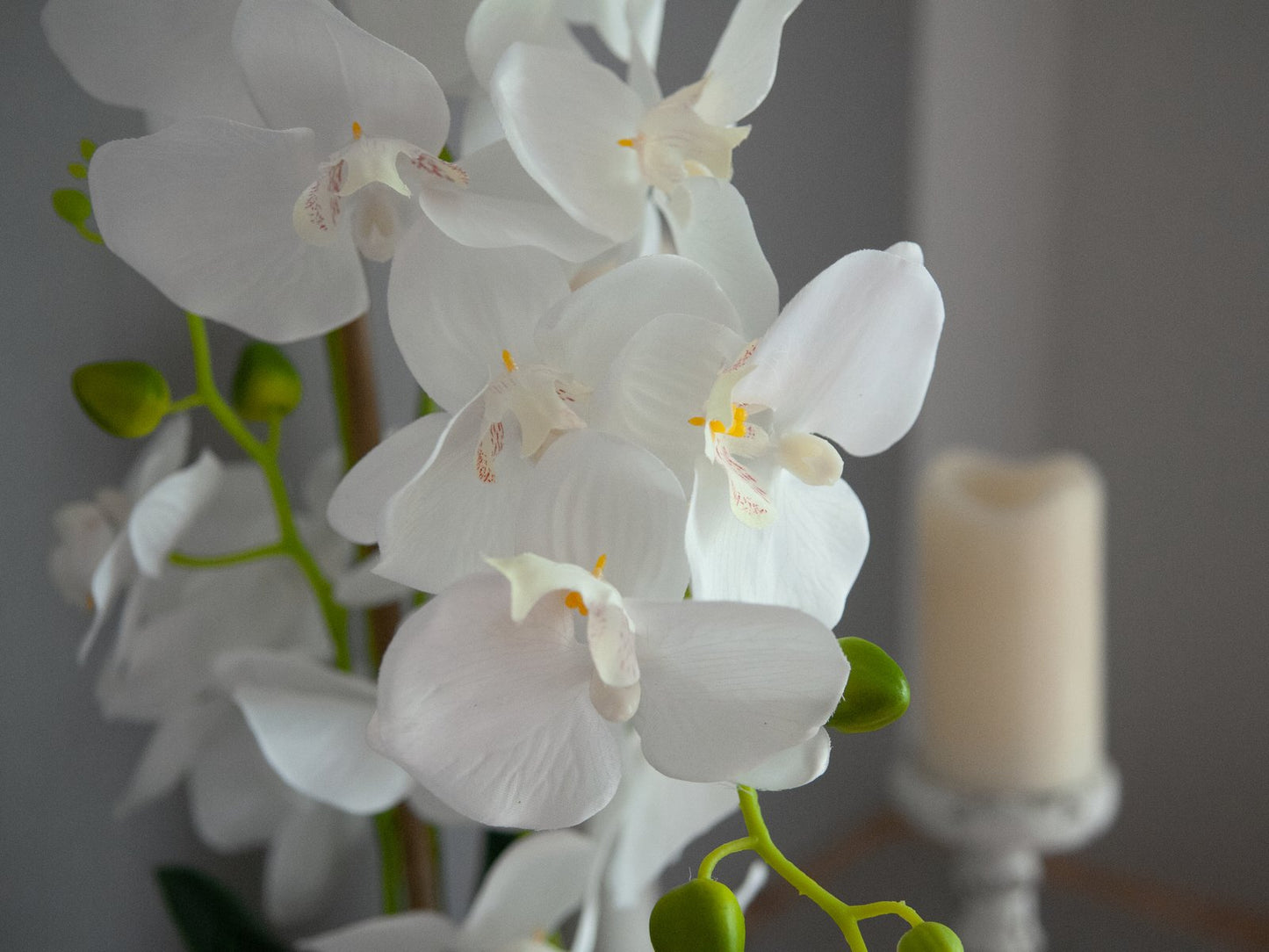 Orchid, artificial plant, white, 80cm