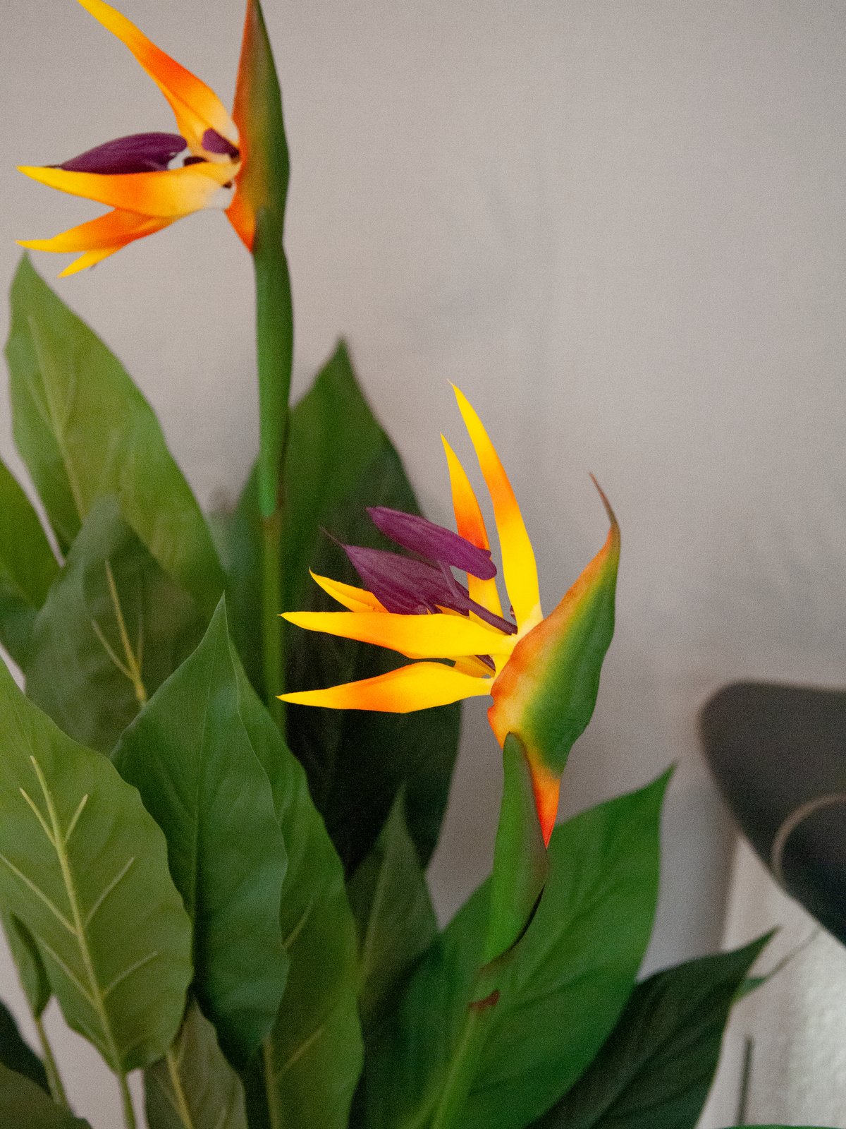 Bird-of-paradise flower, artificial plant, 90cm