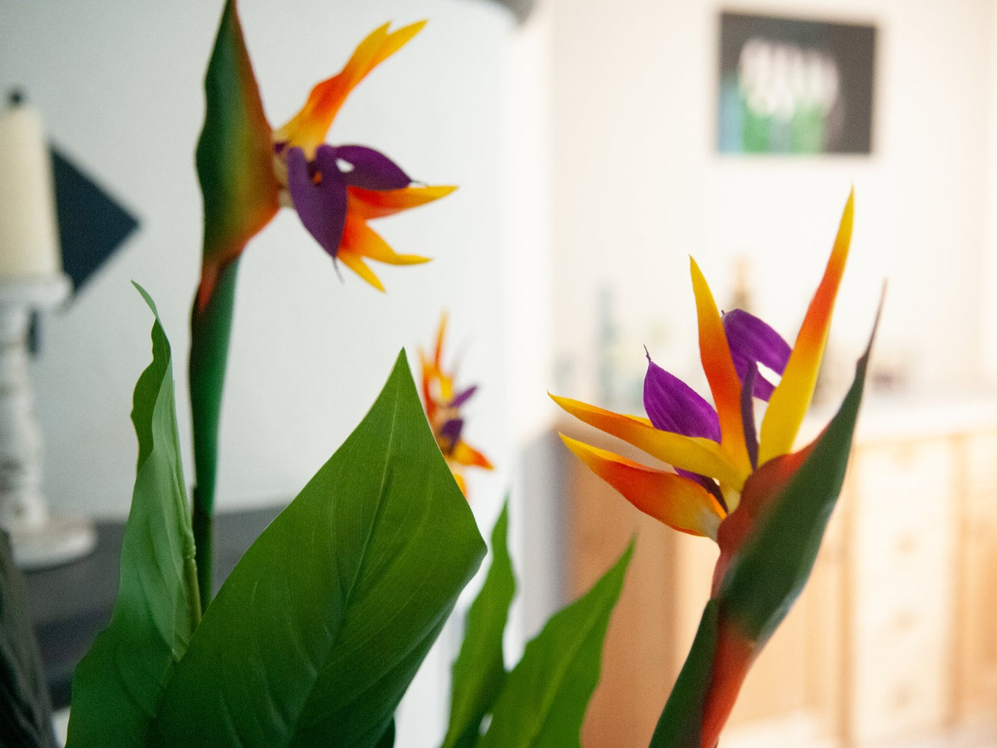 Bird-of-paradise flower, artificial plant, 90cm