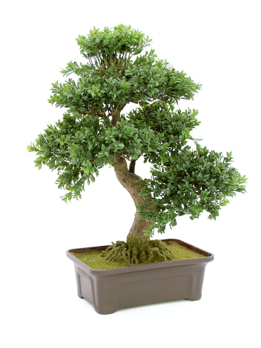 Bonsai Box, artificial plant, 61 cm