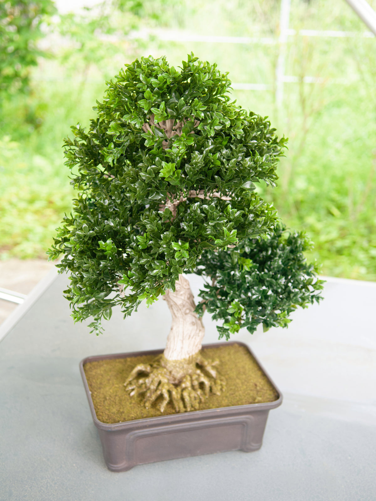 Bonsai Box, artificial plant, 61 cm