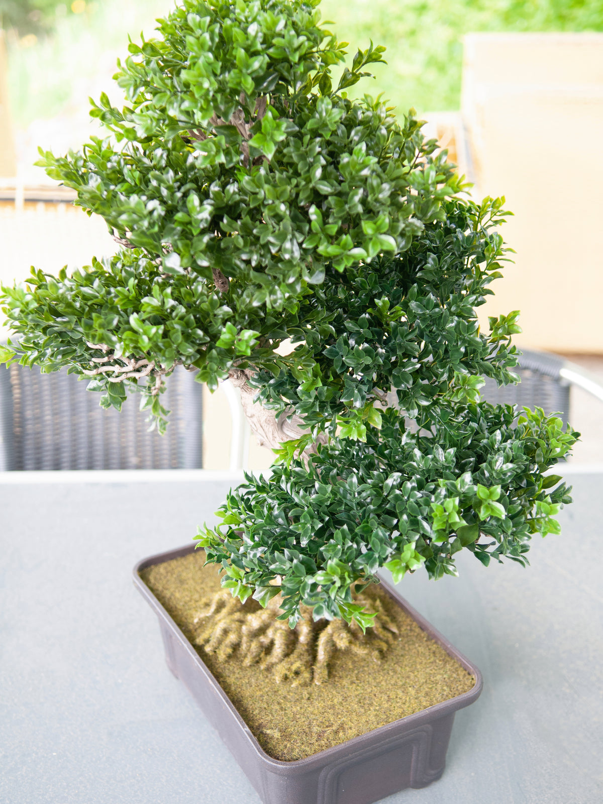 Bonsai Box, artificial plant, 61 cm