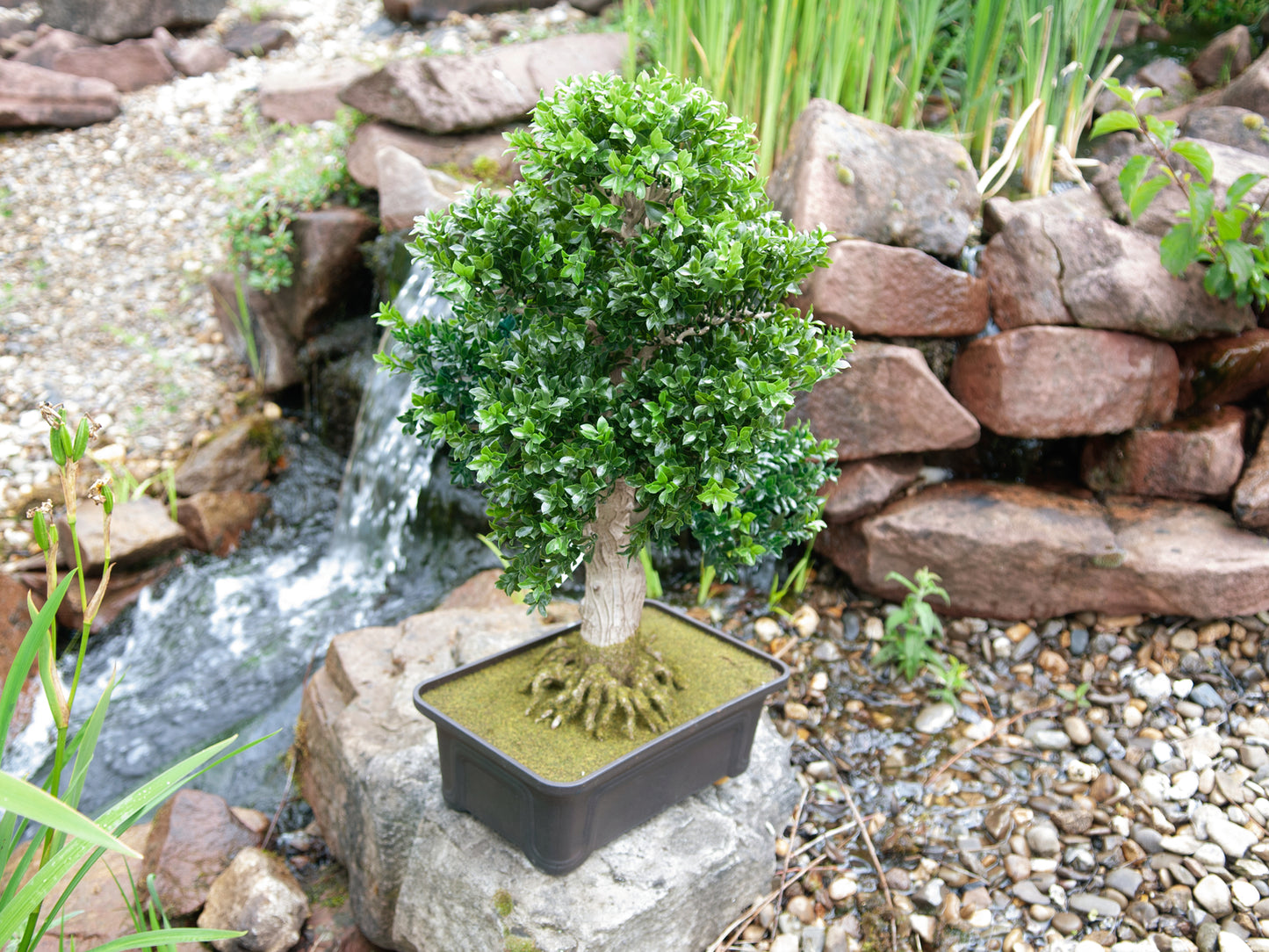 Bonsai Box, artificial plant, 61 cm