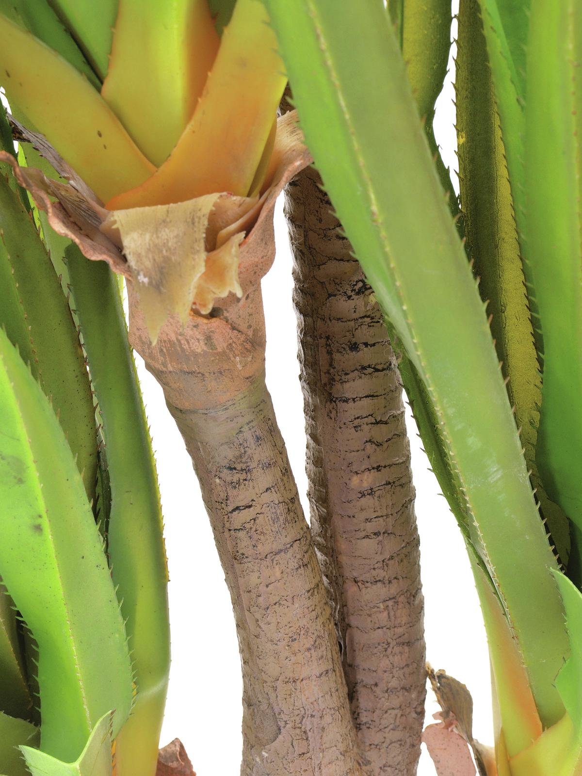 Century palm, artificial plant, 185cm