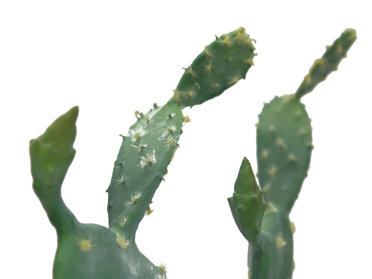 Nopal cactus, artificial plant, 76cm